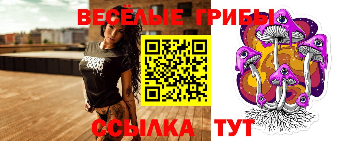 Псилоцибиновые грибы Psilocybe  Вход с VPN  Лабинск 